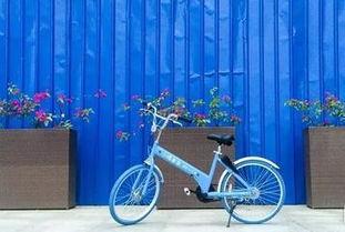 小鸣单车最新爆料  第2张