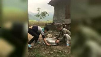 热点爆料李小龙视频,传奇武术宗师的真实影像曝光  第3张